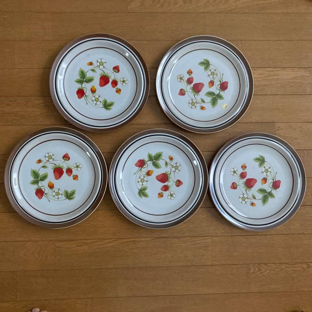 お皿五枚セット Sierra ストーンウェア いちご皿 直径約26cm 5枚セット